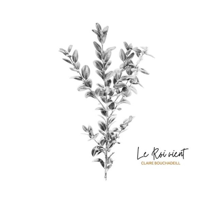 LE ROI VIENT - AUDIO - BOUCHADEILL CLAIRE - NC