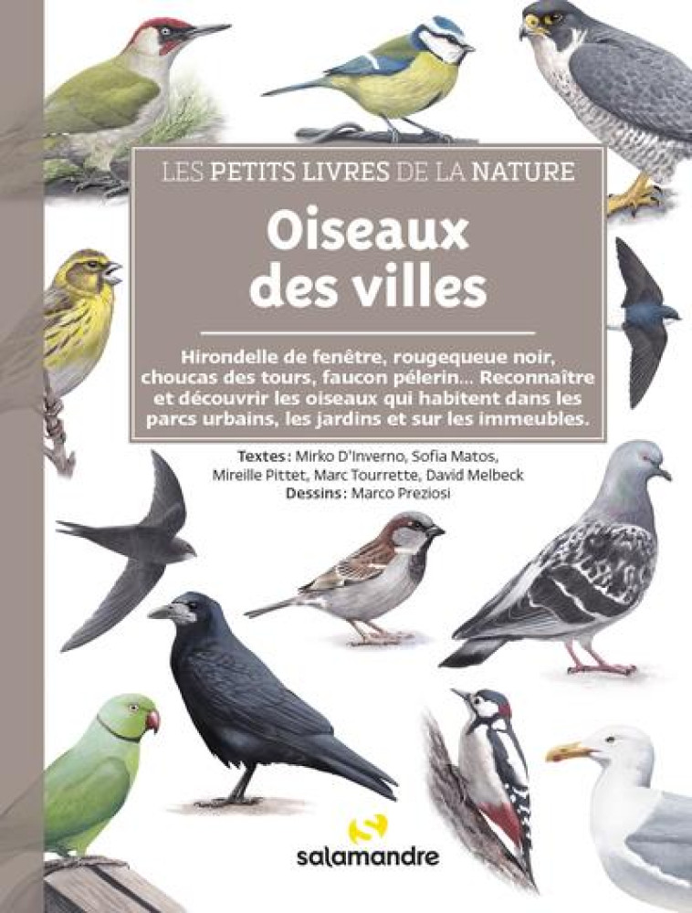 OISEAUX DES VILLES - LES PETITS LIVRES DE LA NATURE - MELBECK/D-INVERNO - LA SALAMANDRE