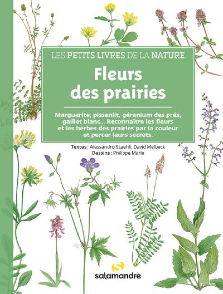 FLEURS DES PRAIRIES - LES PETITS LIVRES DE LA NATURE - MELBECK/STAEHLI - LA SALAMANDRE