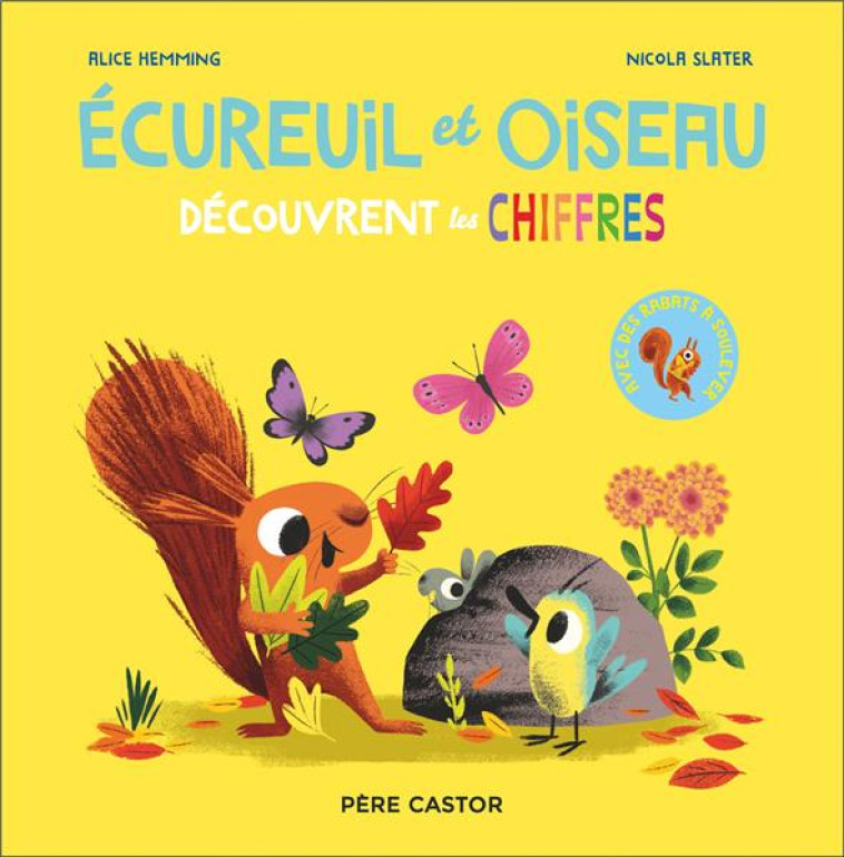 ECUREUIL ET OISEAU DECOUVRENT LES CHIFFRES - HEMMING/SLATER - FLAMMARION