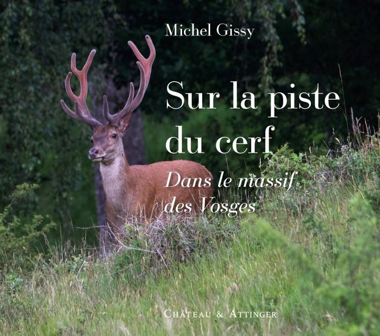 SUR LA PISTE DU CERF - DANS LE MASSIF DES VOSGES - Michel Gissy - CHATEAU ATTING