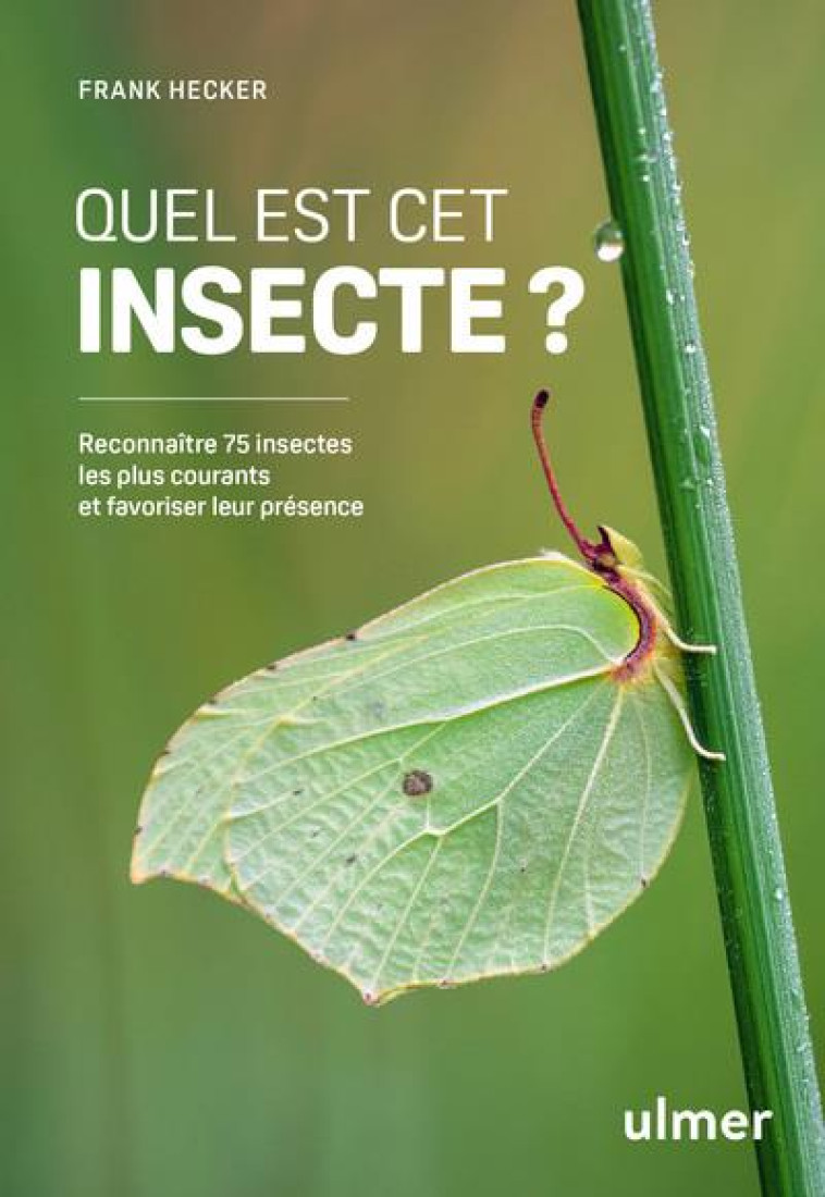 QUEL EST CET INSECTE ? - RECONNAITRE 75 INSECTES LES PLUS COURANTS ET FAVORISER LEUR PRESENCE - HECKER FRANK - ULMER