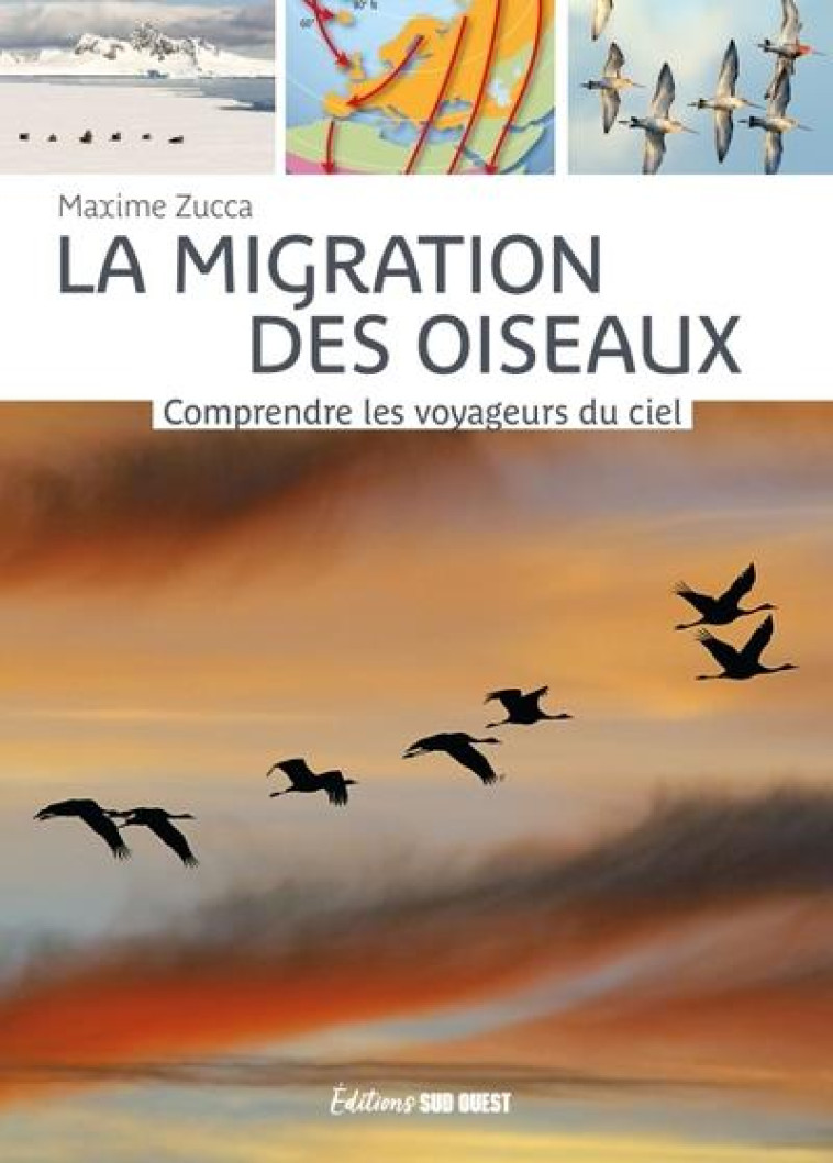 LA MIGRATION DES OISEAUX. COMPRENDRE LES VOYAGEURS DU CIEL - ZUCCA MAXIME - SUD OUEST