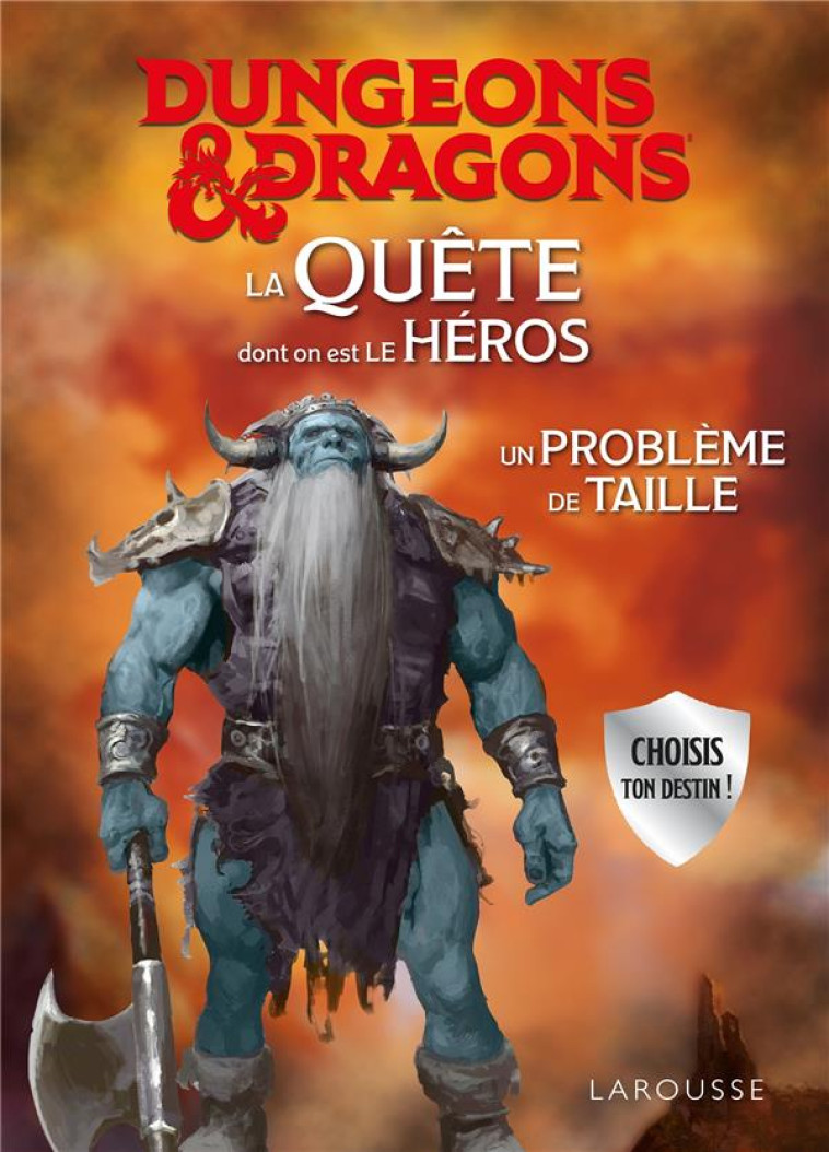 DUNGEONS & DRAGONS LA QUETE DONT ON EST LE HEROS - UN PROBLEME DE TAILLE - FORBECK MATT - LAROUSSE