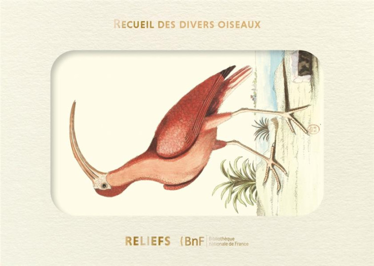 LIVRE D'IMAGES - RECUEIL DE DIVERS OISEAUX - CATESBY/EDWARDS - RELIEFS