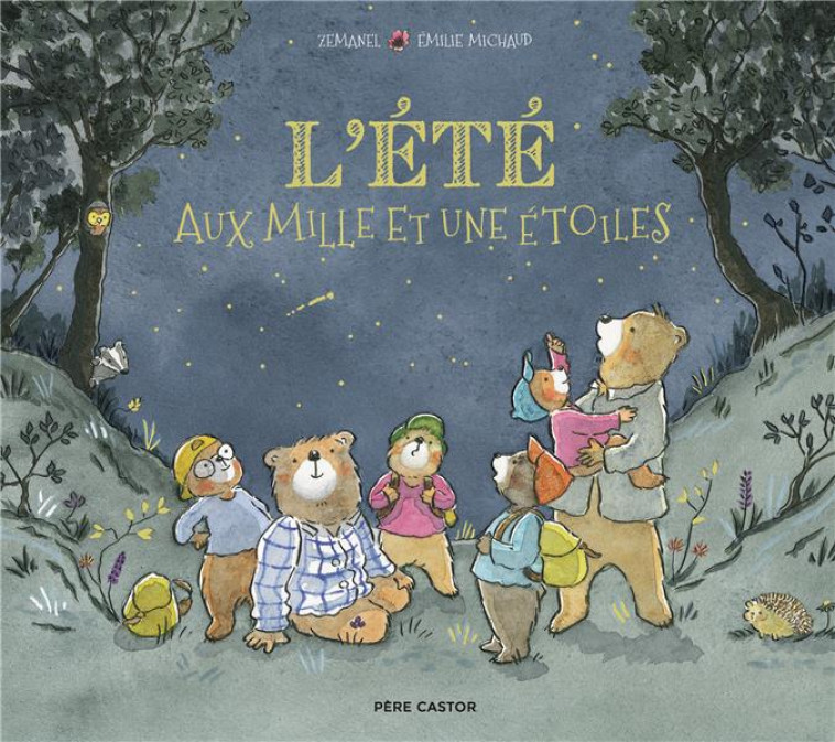 L'ETE AUX MILLE ET UNE ETOILES - MICHAUD/ZEMANEL - FLAMMARION