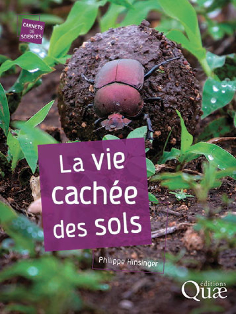 LA VIE CACHEE DES SOLS - HINSINGER PHILIPPE - QUAE