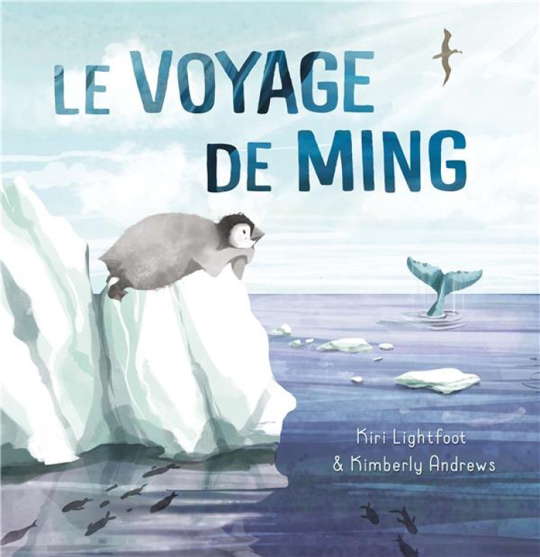 LE VOYAGE DE MING - ANDREW KIMBERLY - 1 2 3 SOLEIL