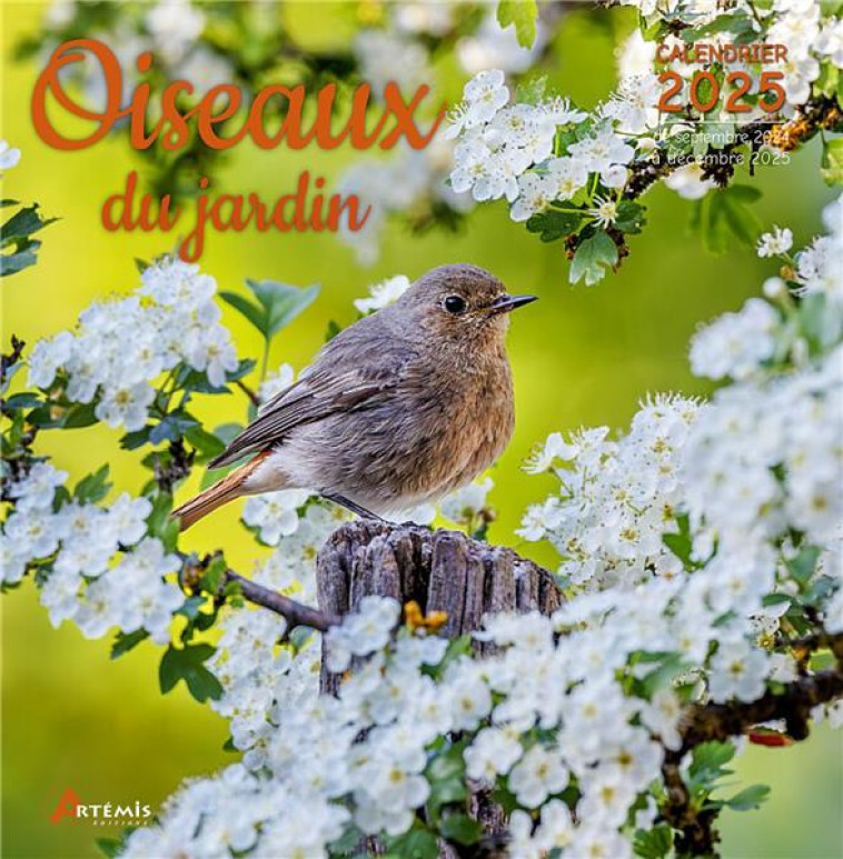 CALENDRIER OISEAUX DU JARDIN 2025 - COLLECTIF - NC