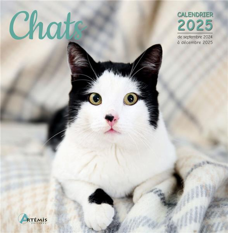 CALENDRIER CHATS 2025 - COLLECTIF - NC