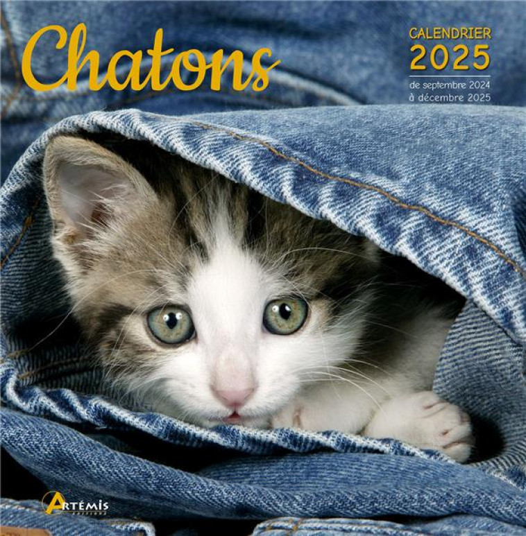 CALENDRIER CHATONS 2025 - COLLECTIF - NC