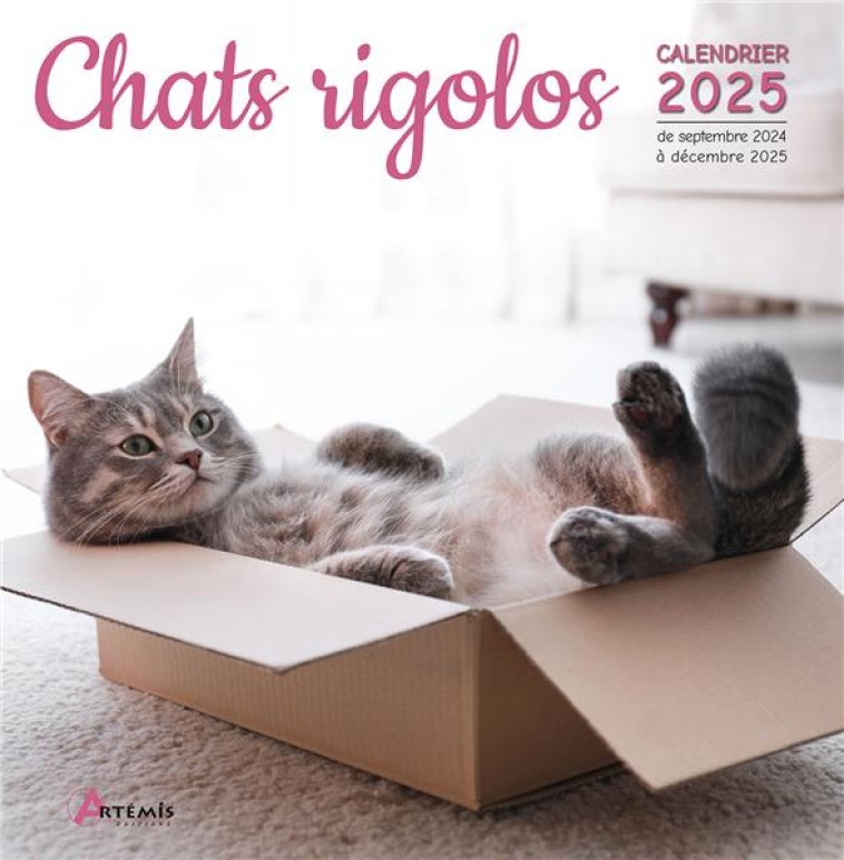 CALENDRIER CHATS RIGOLOS 2025 - COLLECTIF - NC