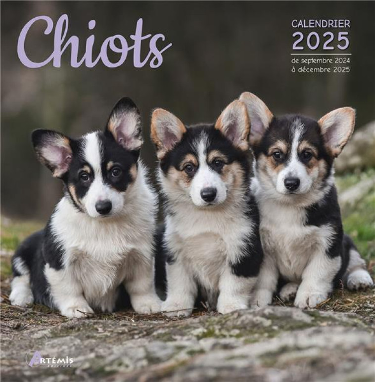 CALENDRIER CHIOTS 2025 - COLLECTIF - NC