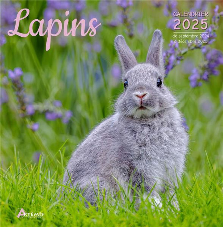 CALENDRIER LAPINS 2025 - COLLECTIF - NC