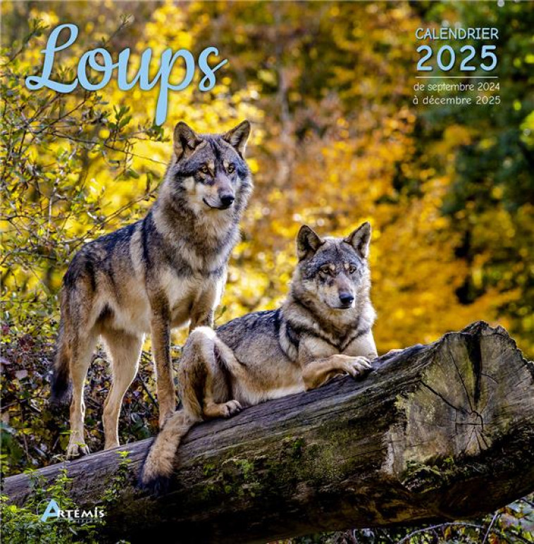 CALENDRIER LOUPS 2025 - COLLECTIF - NC