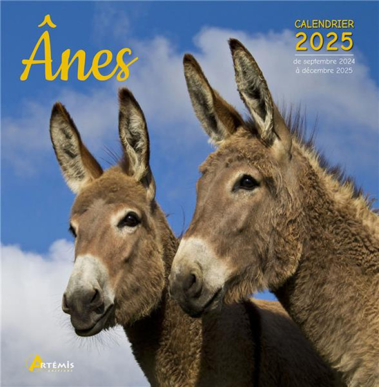 CALENDRIER ANES 2025 - COLLECTIF - NC