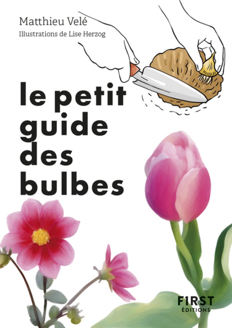 LE PETIT GUIDE DES BULBES - Collectif Collectif, Matthieu Velé, Lise Herzog - FIRST