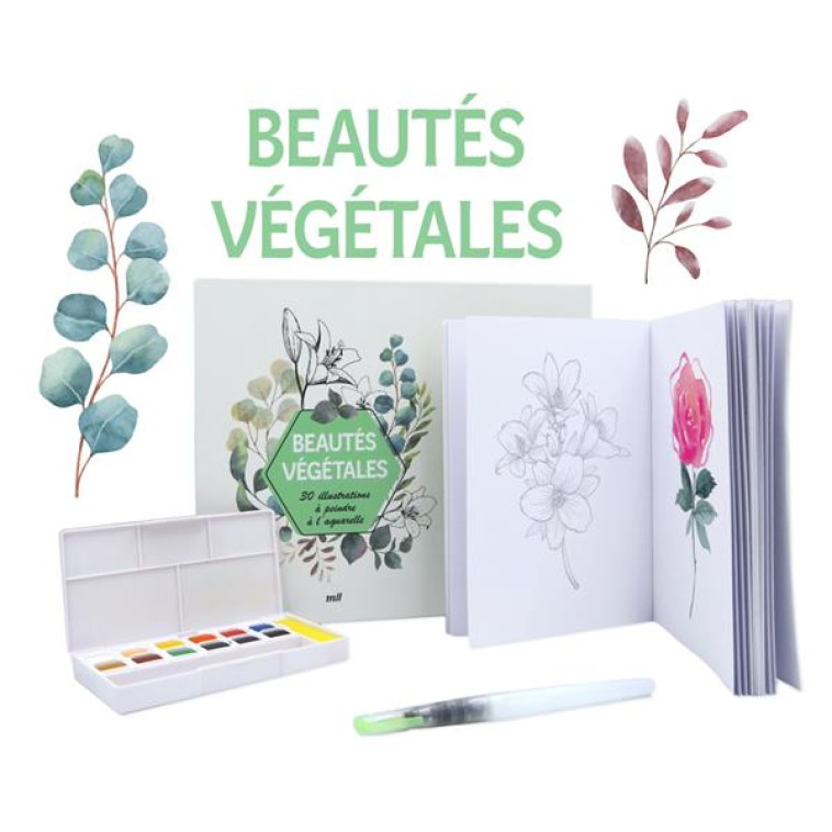 COFFRET BEAUTES VEGETALES - 30 ILLUSTRATIONS A PEINDRE A L'AQUARELLE - UN CARNET AVEC DES FEUILLES D - COLLECTIF - NC