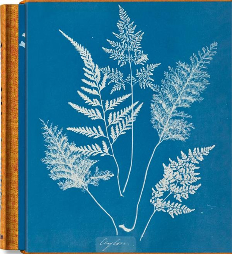 ANNA ATKINS. CYANOTYPES (FAMOUS FIRST EDITION) (GB/ALL/FR) - XXX - NC