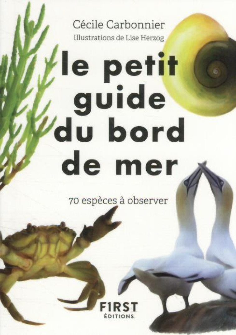 LE PETIT GUIDE DU BORD DE MER - CARBONNIER/HERZOG - FIRST