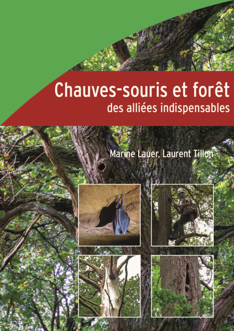 Chauves-souris et forêt, des alliées indispensables - Tillon Laurent, Lauer Marine - IDF