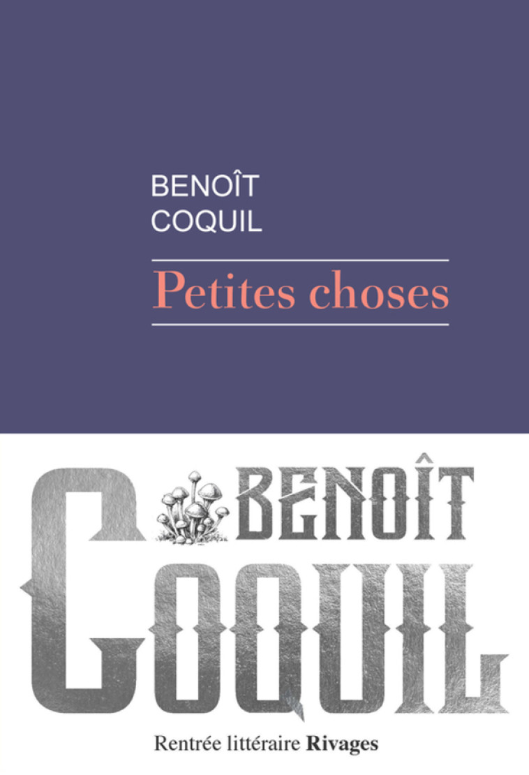 Petites choses - Coquil Benoît - RIVAGES