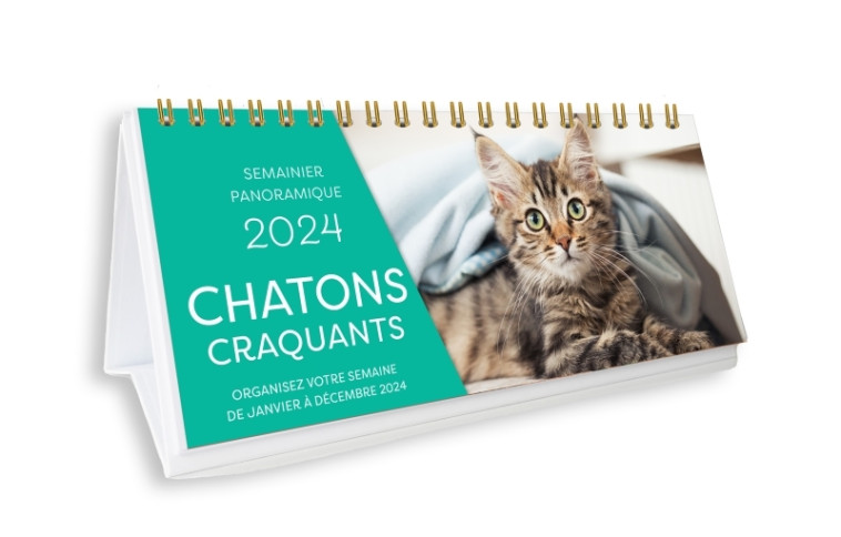 Semainier panoramique - Chatons craquants 2024, une page par jour - XXX - 365 PARIS