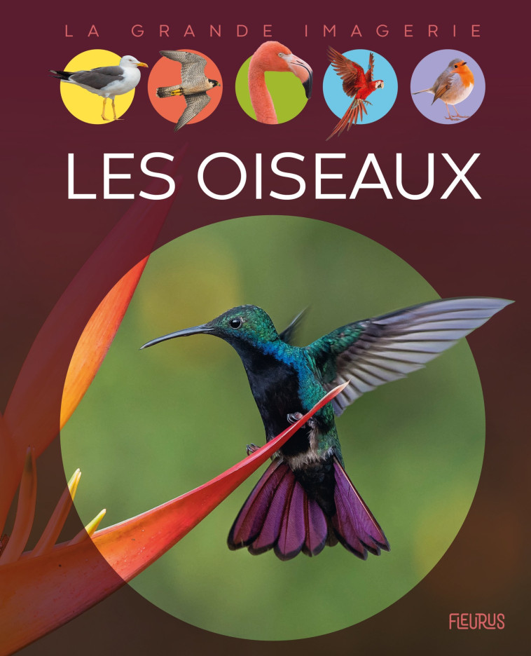 Les oiseaux - Chauvelot Raphaëlle - FLEURUS