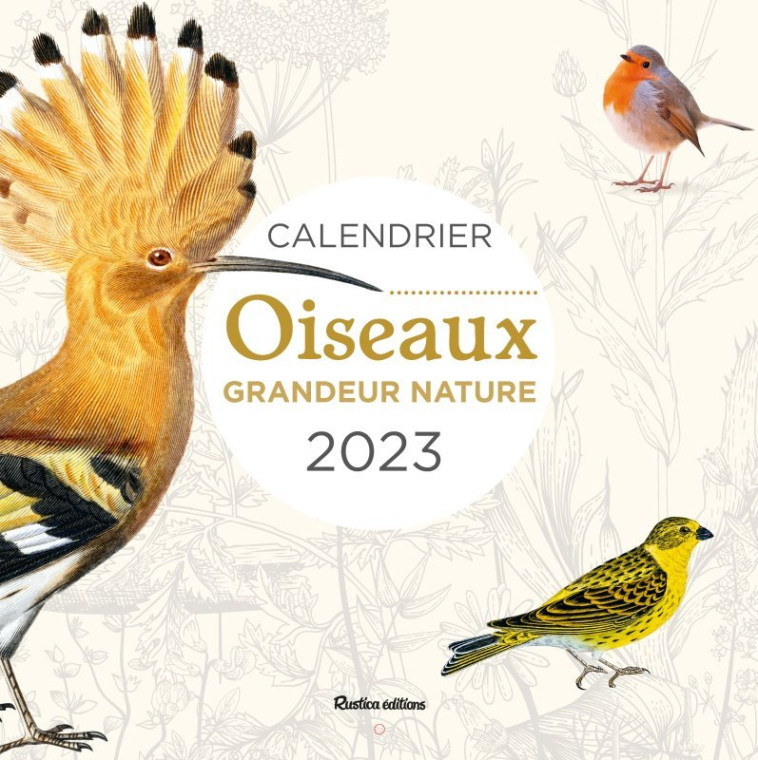 Calendrier Oiseaux grandeur nature 2023 - Lesaffre Guilhem - RUSTICA