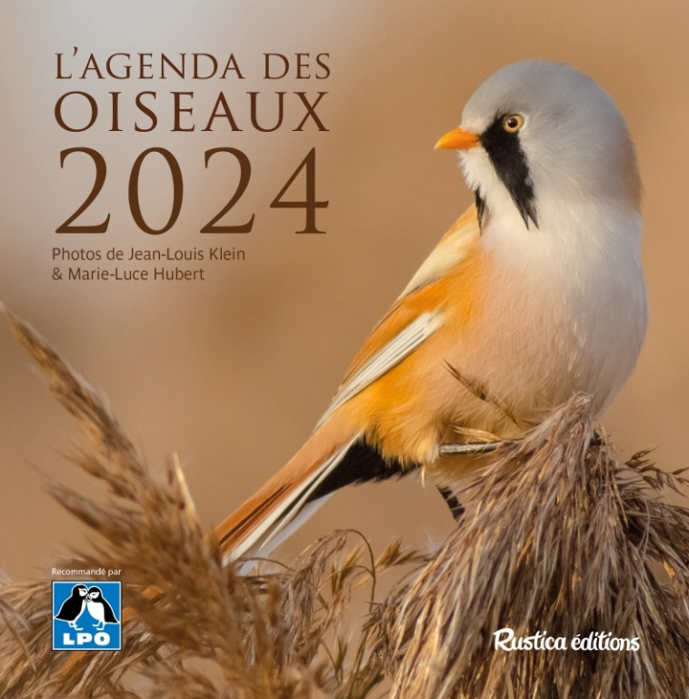 L'agenda des oiseaux 2024 - Hubert Marie-Luce, Klein Jean-Louis - RUSTICA