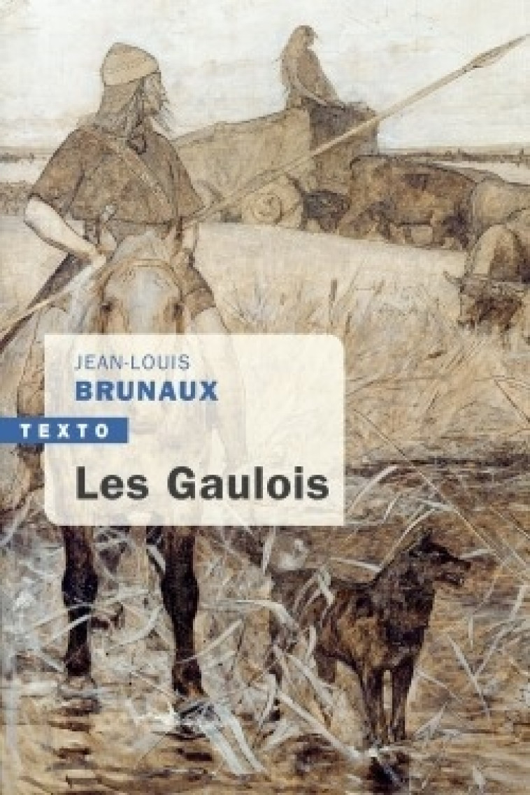 Les gaulois - Brunaux Jean-Louis - TALLANDIER