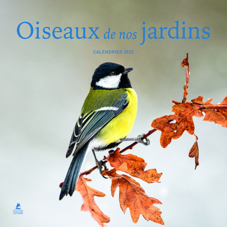 Calendrier oiseaux de nos jardins 2025 - Collectif Collectif, Collectif  - PLACE VICTOIRES