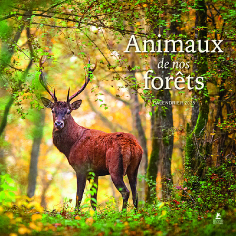 Calendrier animaux de nos forets 2025 - Collectif Collectif, Collectif  - PLACE VICTOIRES