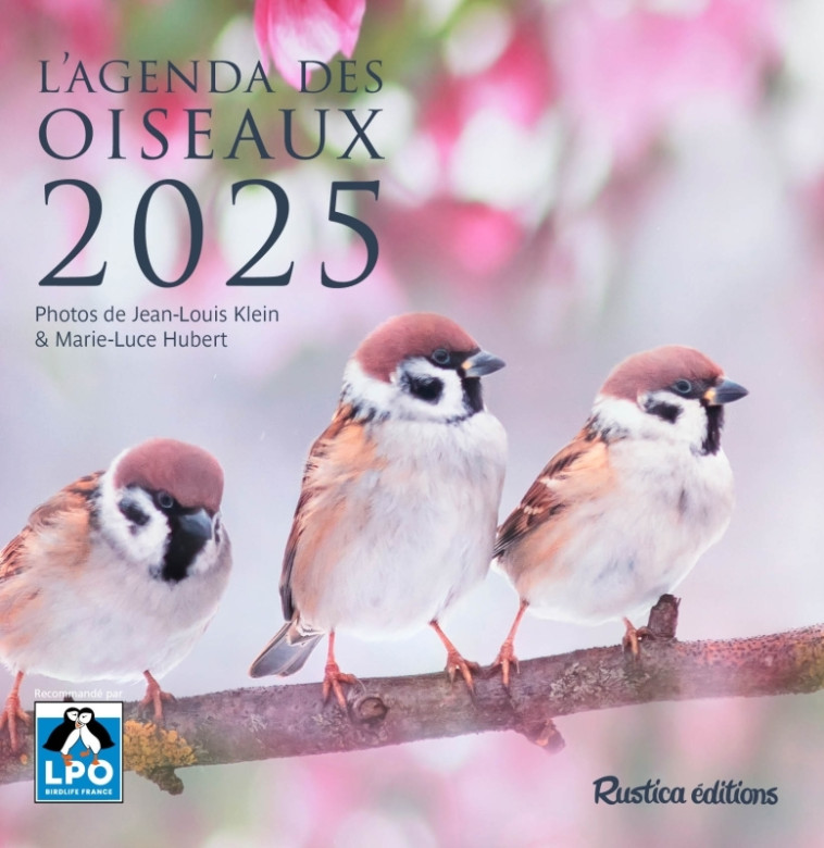 L'AGENDA DES OISEAUX 2025 - XXX - RUSTICA