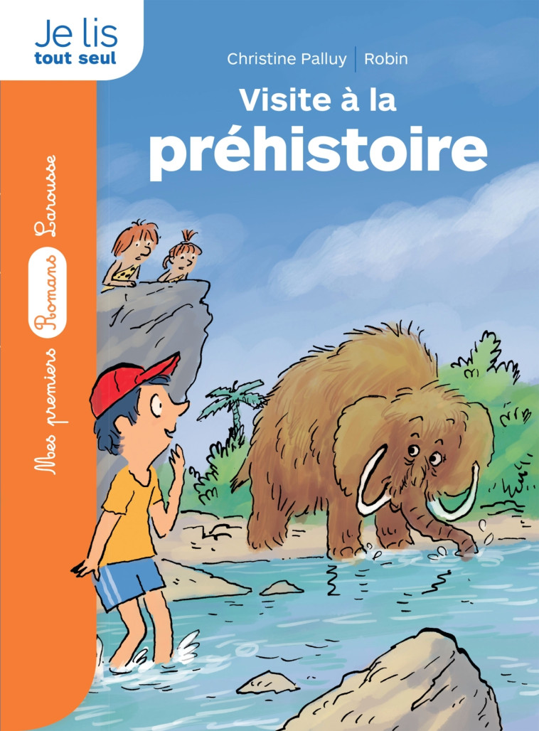 LA PIERRE DU TEMPS : VISITE À LA PRÉHISTOIRE - Christine Palluy - LAROUSSE