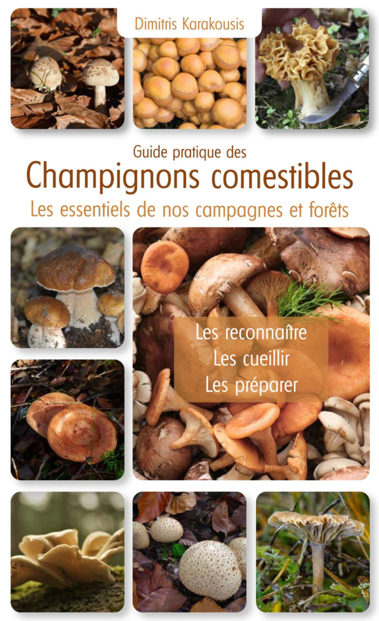 GUIDE PRATIQUE DES CHAMPIGNONS COMESTIBLES - KARAKOUSIS DIMITRIS - PUITS FLEURI