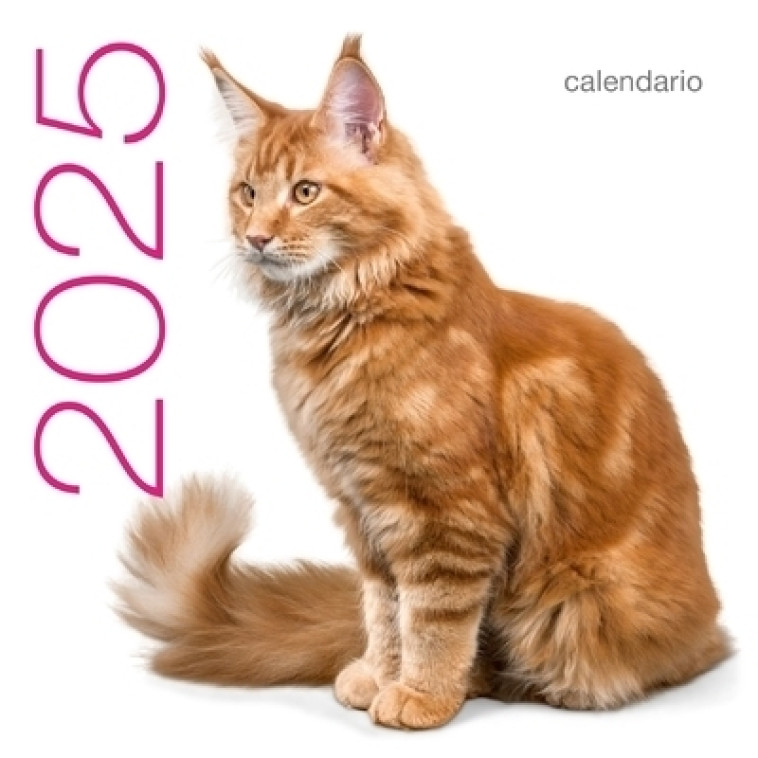 Calendrier mural 2025 Chats - Collectif Collectif,  Collectif - WHITE STAR