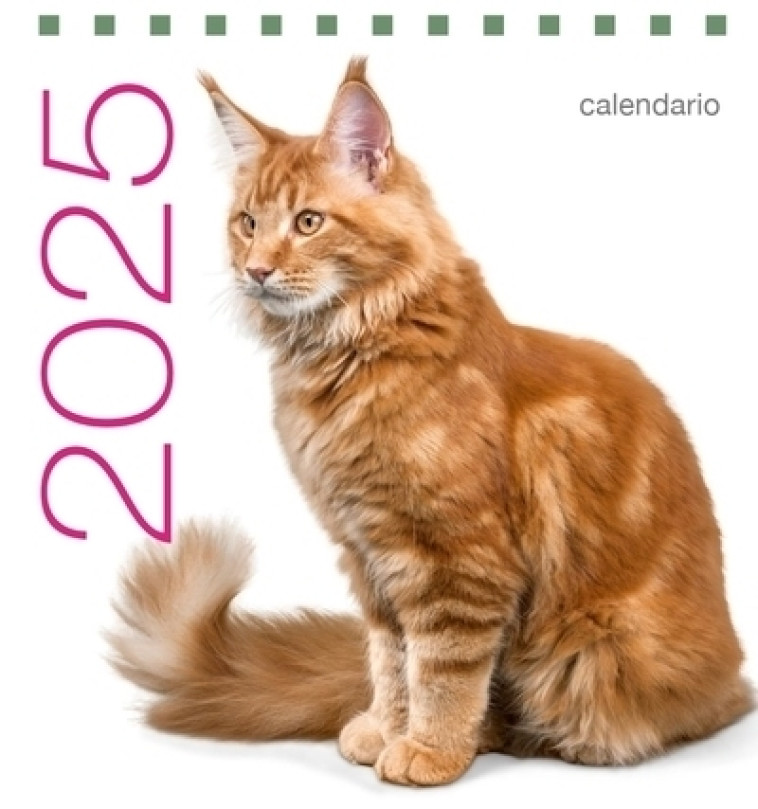 Calendrier de table 2025 Chats - Collectif Collectif,  Collectif - WHITE STAR