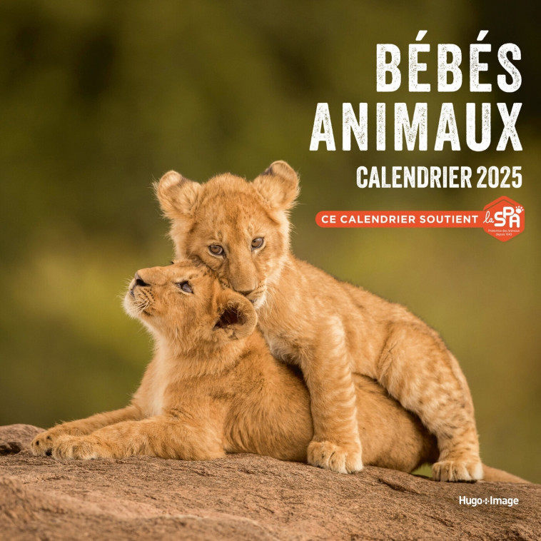 Calendrier mural bébés animaux 2025 -   - HUGO IMAGE