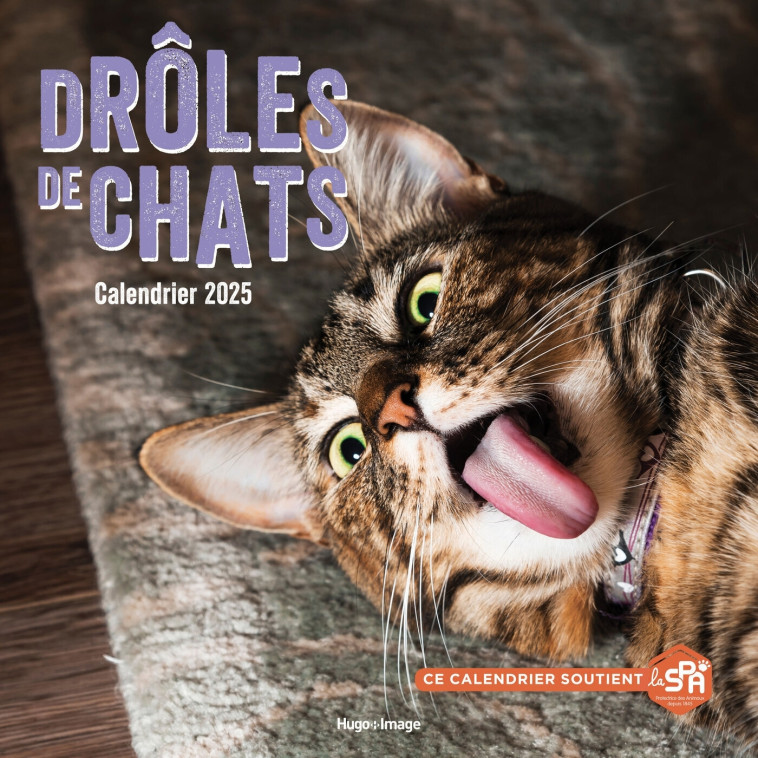 Calendrier mural drôles de chats 2025 -   - HUGO IMAGE