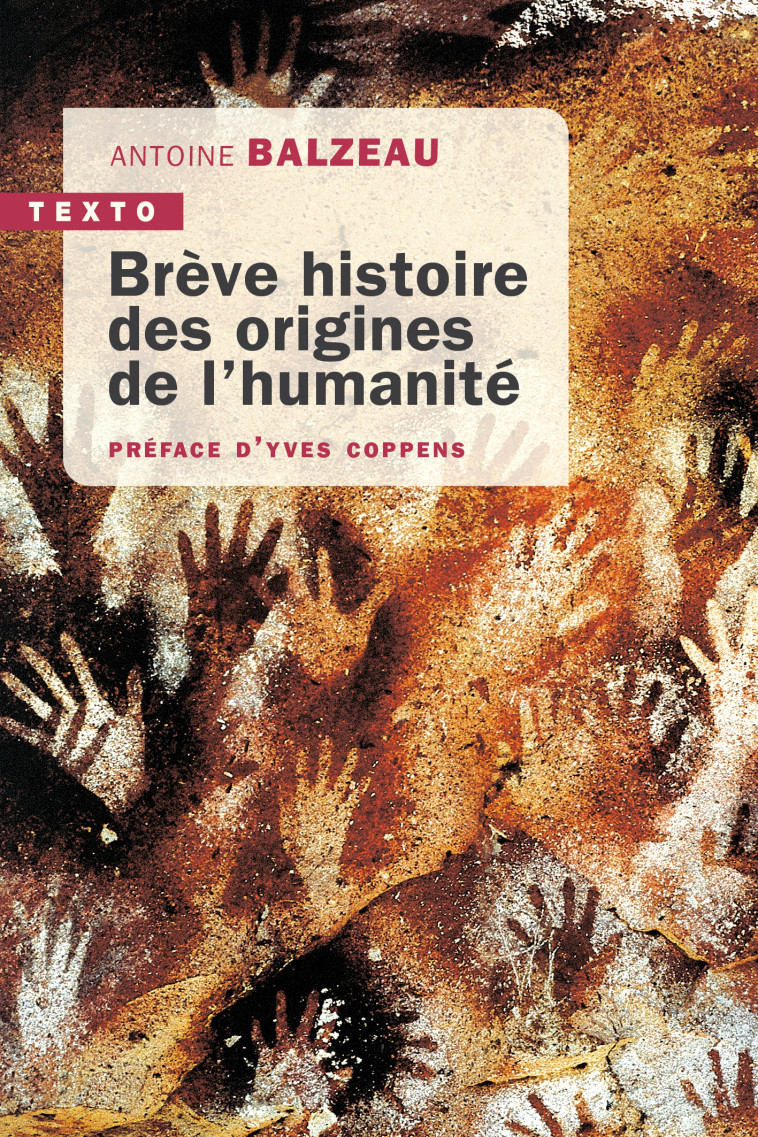 Brève histoire des origines de l'humanité - Antoine BALZEAU, Yves Coppens - TALLANDIER