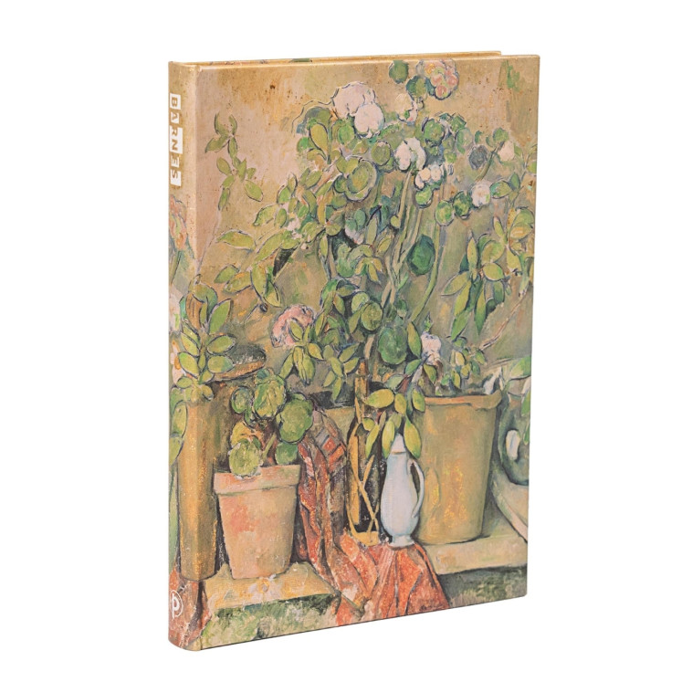 Carnet PB Pots en Terre Cuite et Fleurs de Cézanne Midi N.L. 144PG -  - PAPERBLANKS