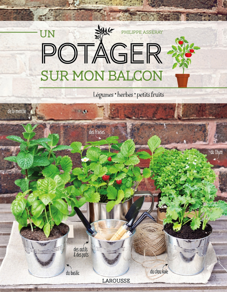 UN POTAGER SUR MON BALCON - Philippe Asseray - LAROUSSE