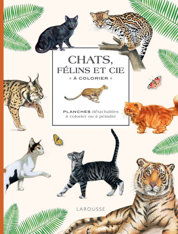 CHATS, FELINS ET CIE A COLORIER - XXX - DESSAIN TOLRA