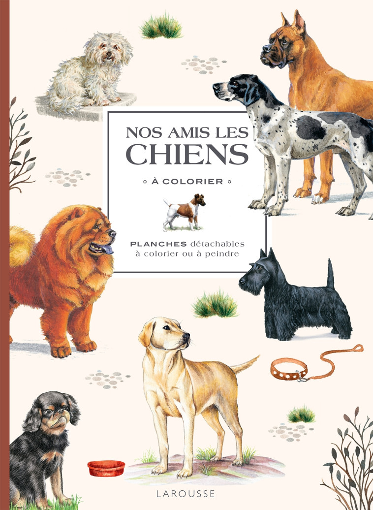 NOS AMIS LES CHIENS A  COLORIER - XXX - LAROUSSE