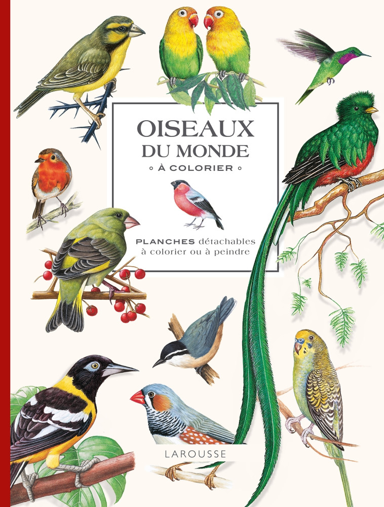 OISEAUX DU MONDE A COLORIER - XXX - LAROUSSE