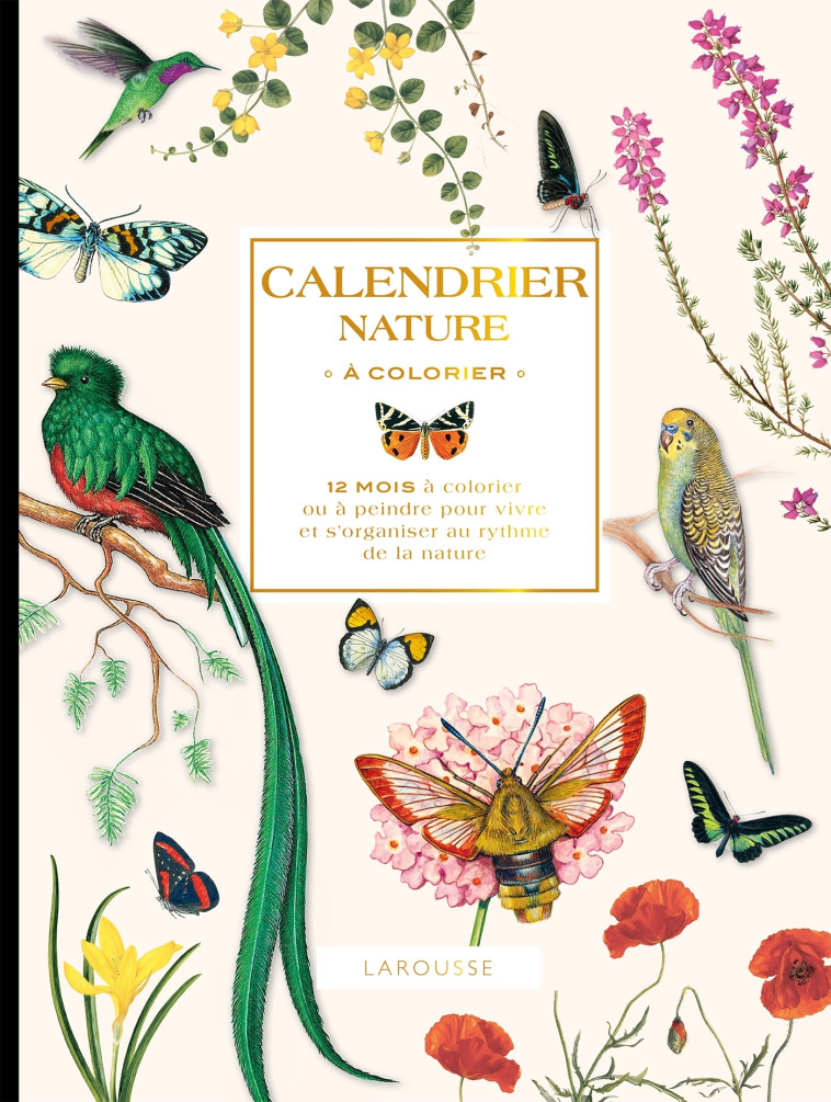 CALENDRIER NATURE A COLORIER - XXX - DESSAIN TOLRA