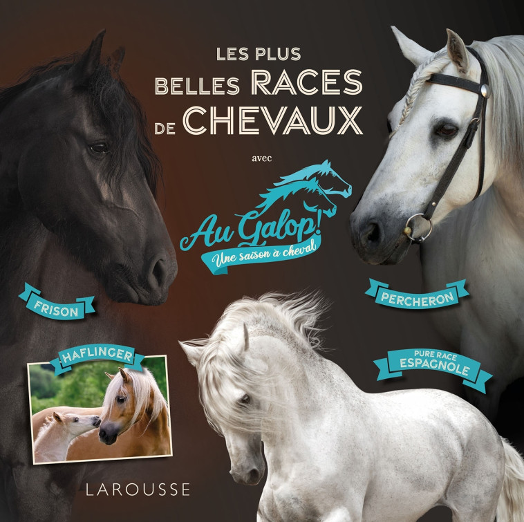 AU GALOP - LES PLUS BELLES RACES DE CHEVAUX - LOT BEATRIX - LAROUSSE