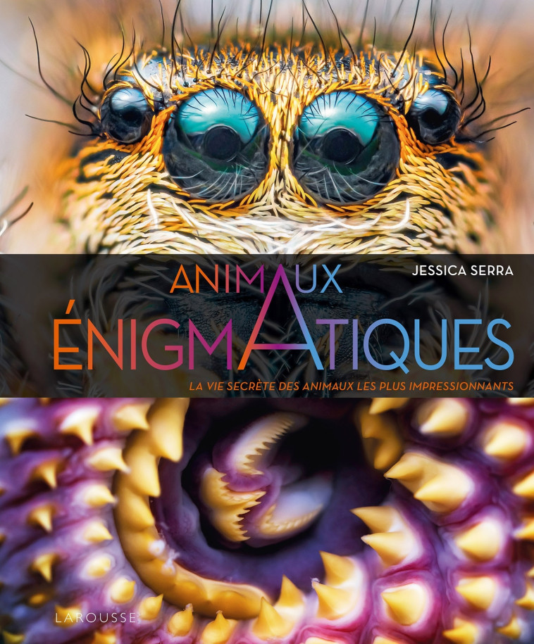 ENIGMATIQUES - LA VIE SECRETE DES ANIMAUX LES PLUS IMPRESSIONNANTS - Jessica SERRA - LAROUSSE