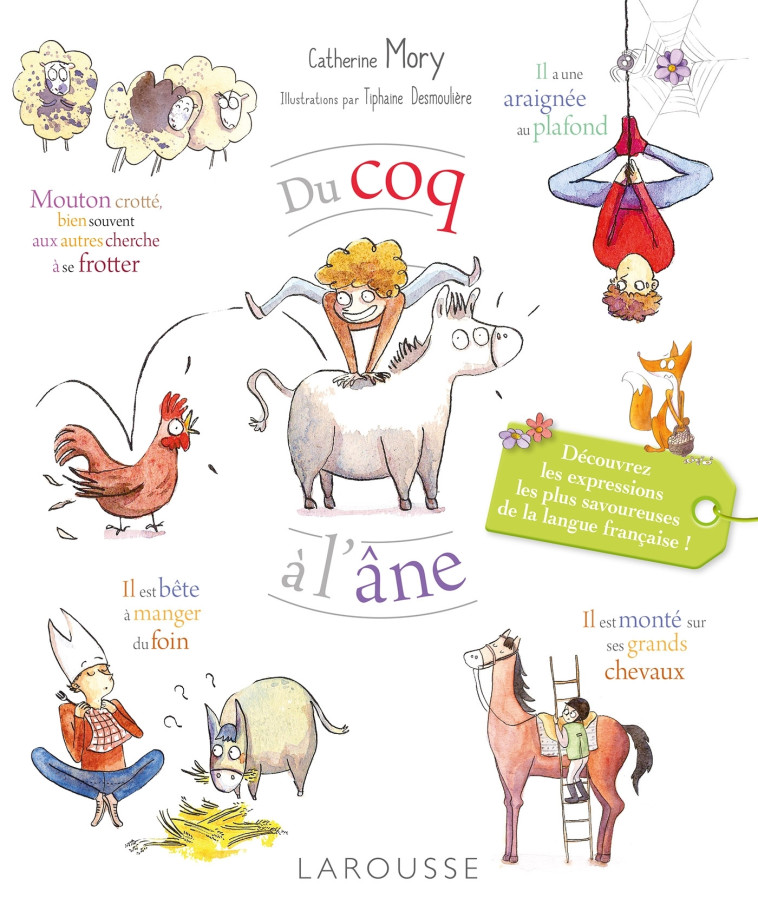 DU COQ A L'ANE - LES EXPRESSIONS LES PLUS SAVOUREUSES DE LA LANGUE FRANCAISE -  CATHERINE MORY - LAROUSSE